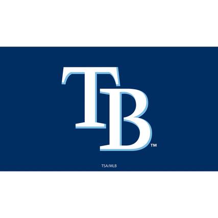 Front. Evergreen Enterprises - Tampa Bay Rays 28" x 16" Logo Indoor/Outdoor Trapper Mat - Multicolor.