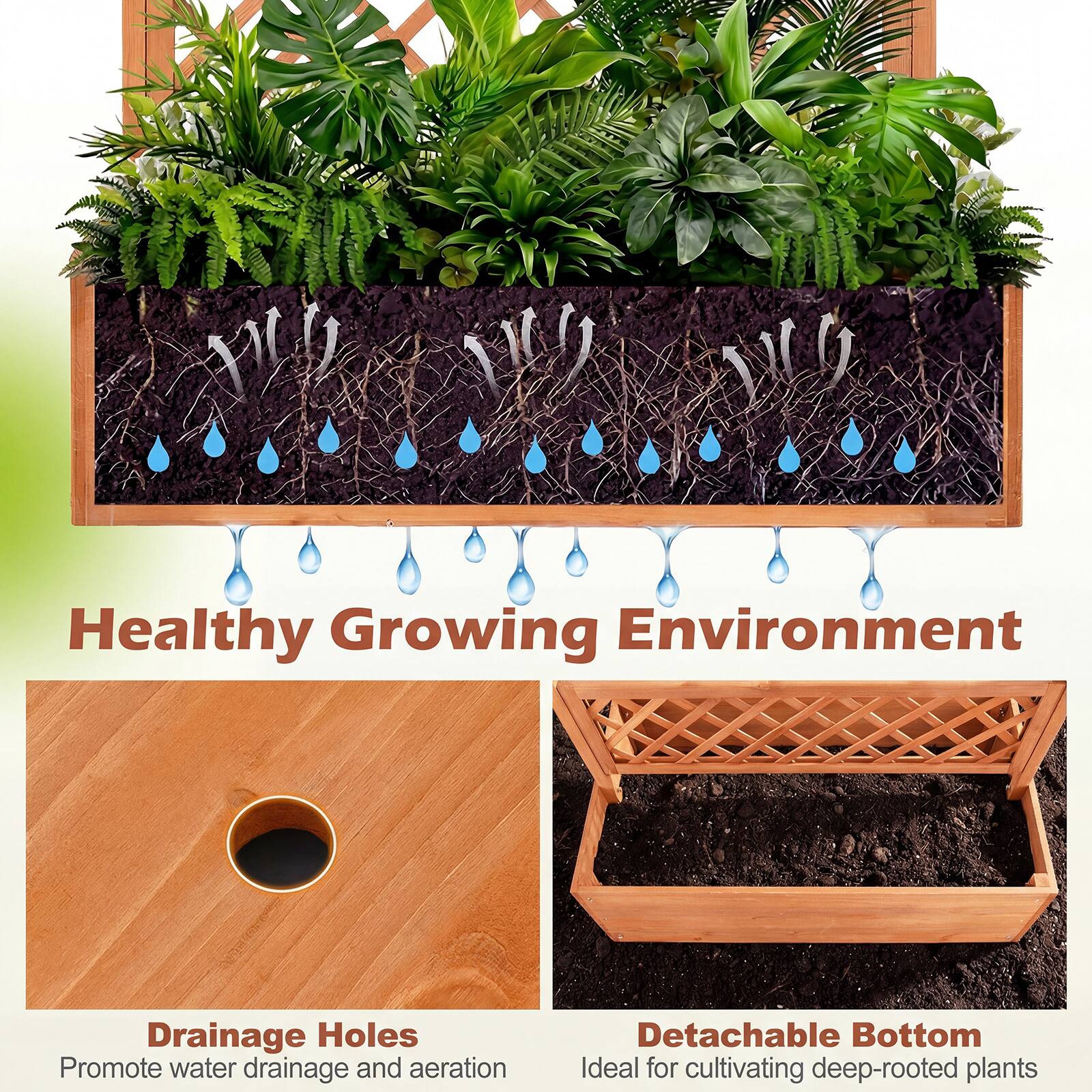 Healthy Growing Environment

Drainage Holes
Promote water drainage and aeration

Detachable Bottom
Ideal for cultivating deep-rooted plants