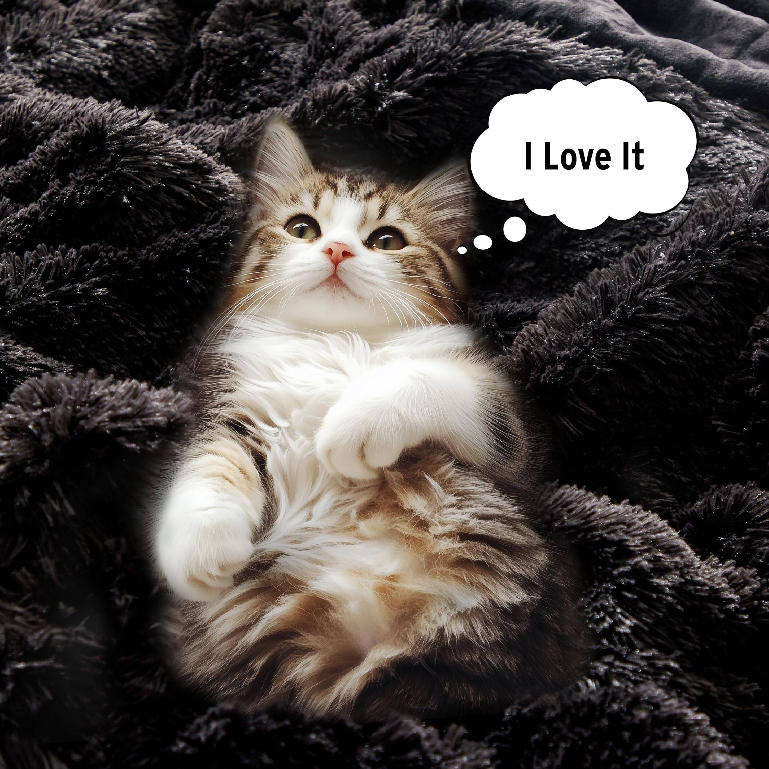 Alt View 2. PARKER SLATER - Malea Shaggy Comforter Set Long Faux Cozy Down Alternative Modern Casual Ultra Soft All Season Fluffy Bedding With... - Ombre Grey-King/Cal King.