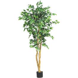 BreeBe - 5' Ficus Tree w/756 Lvs - Green