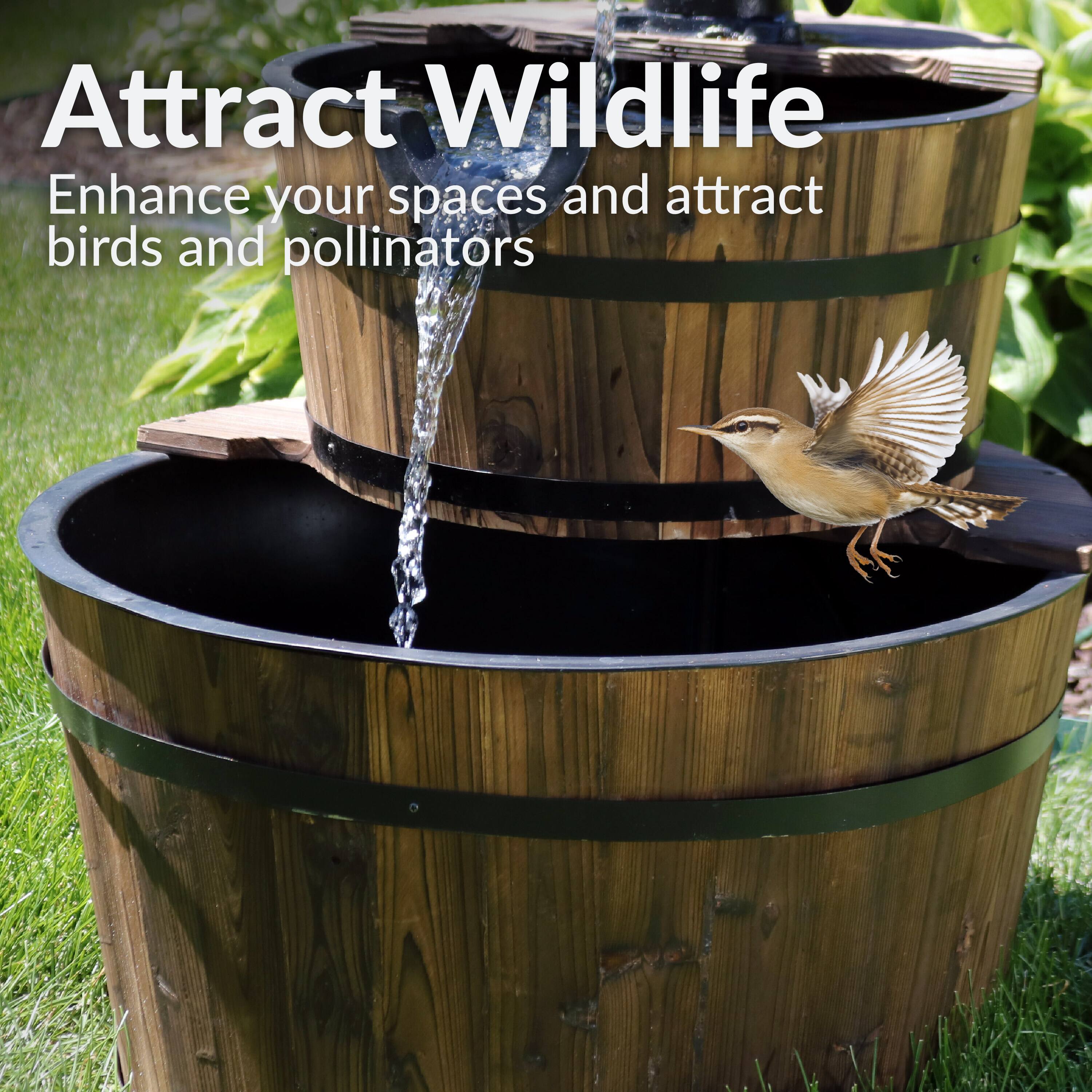 Attract Wildlife  
Enhance your spaces and attract birds and pollinators