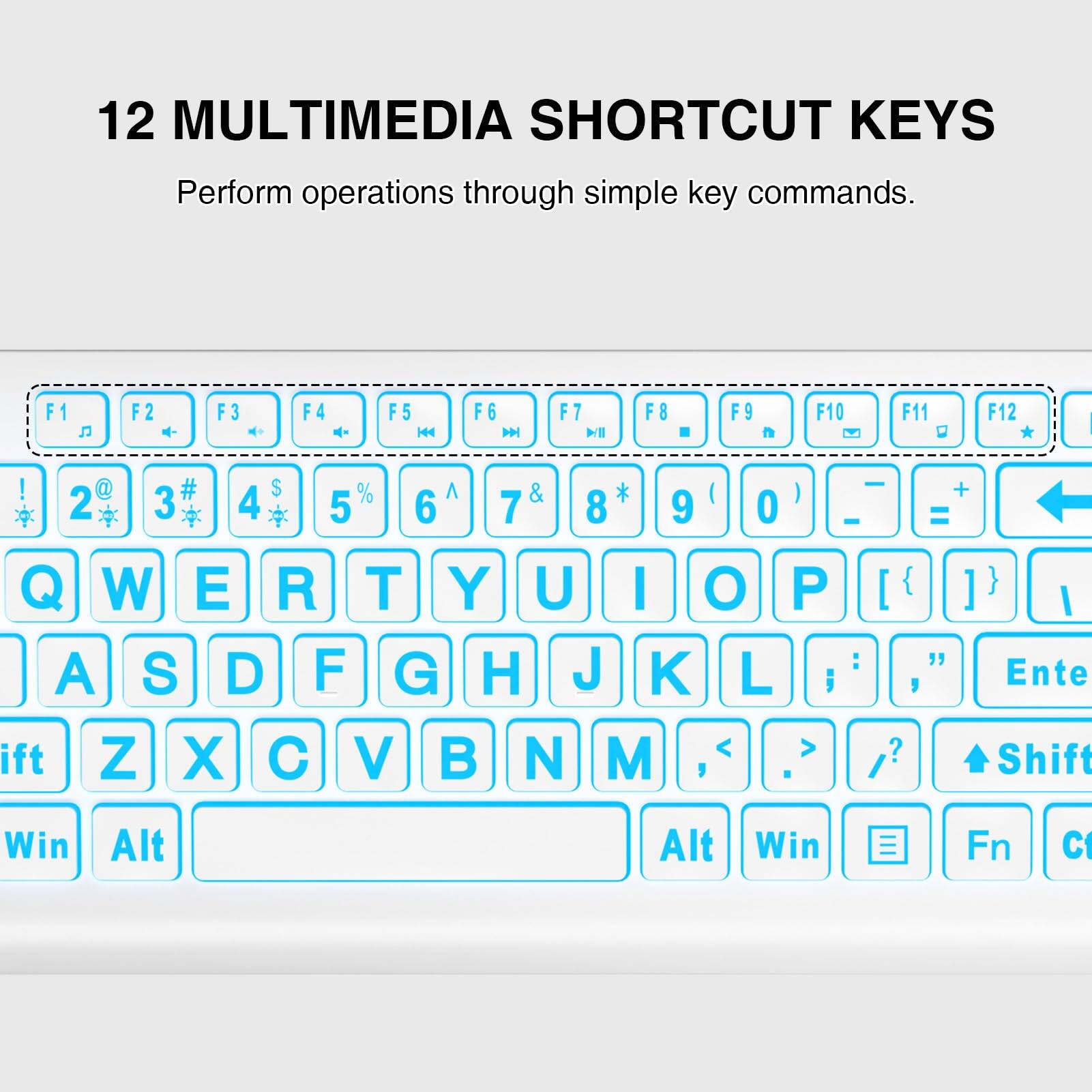 12 MULTIMEDIA SHORTCUT KEYS  
Perform operations through simple key commands.

F1 F2 F3 F4 F5 F6 F7 F8 F9 F10 F11 F12  
! 2 3 4 5 6 7 8 9 0 - =  
Q W E R T Y U I O P [ ] \  
A S D F G H J K L ; '  
Z X C V B N M , . /  
Shift Win Alt Alt Win Fn Ctrl  
Enter