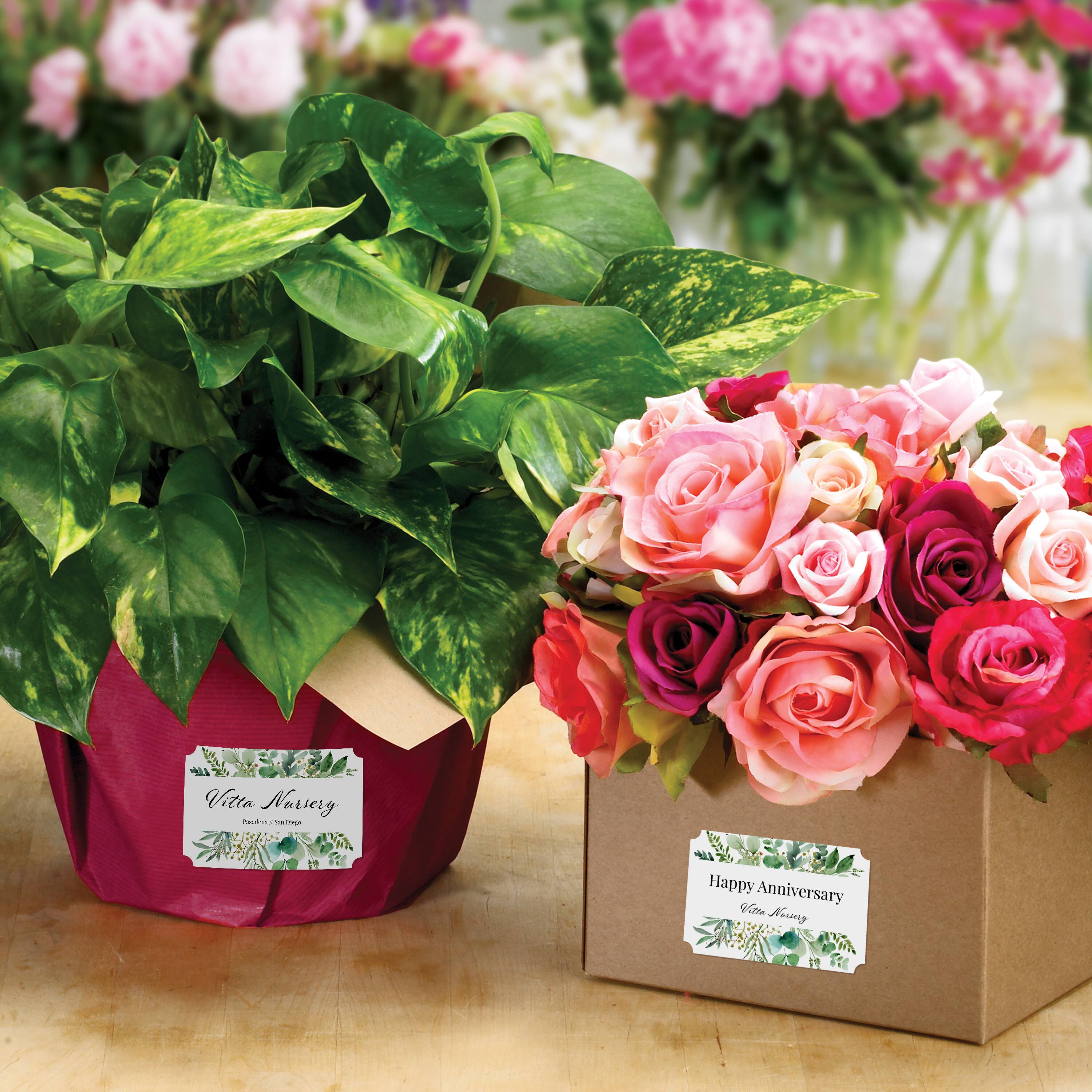 Vitto Nursery - Happy Anniversary Vitto Nursery