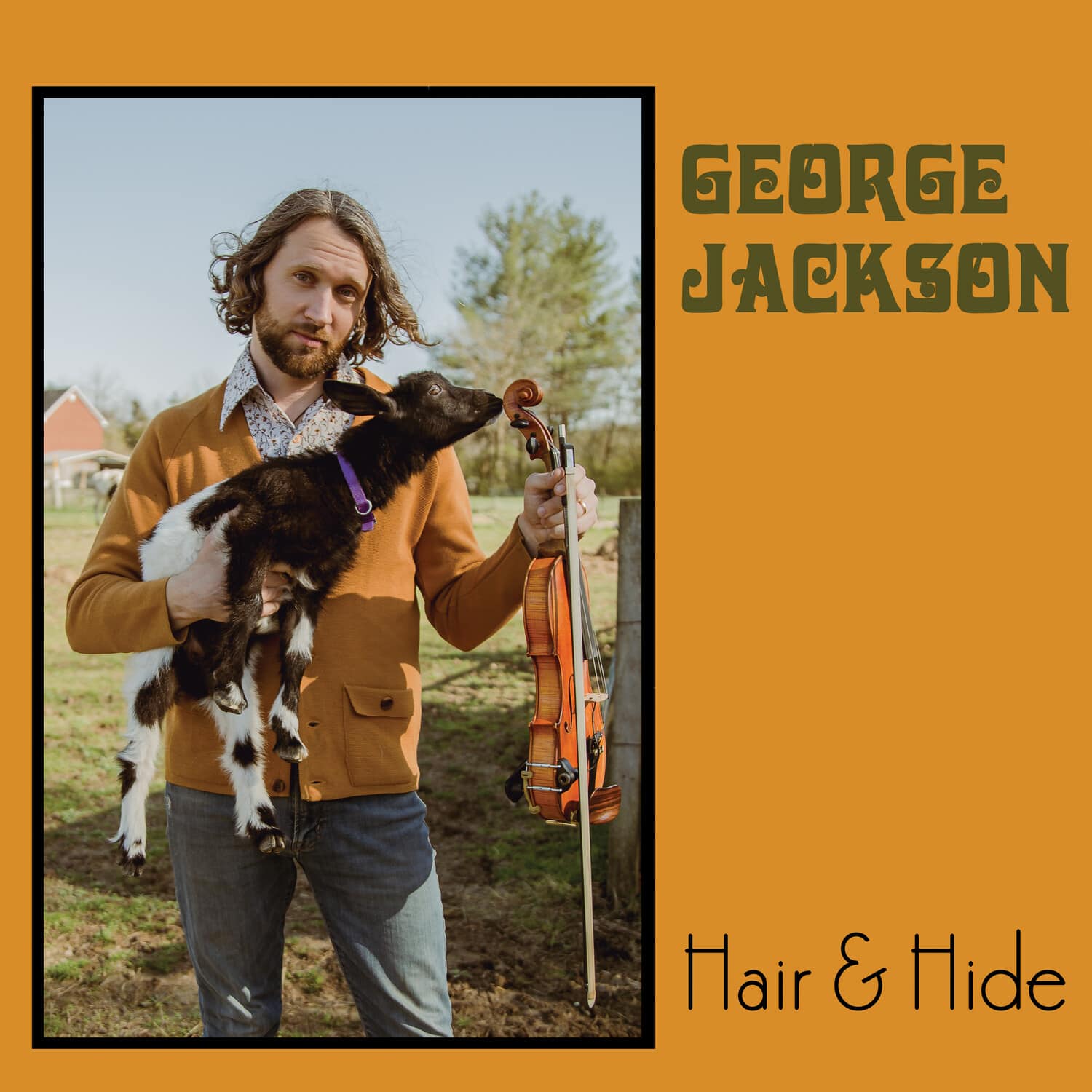 George Jackson - Hair & Hide   - COMPACT DISCS [CD] price history on PriceWatchPro