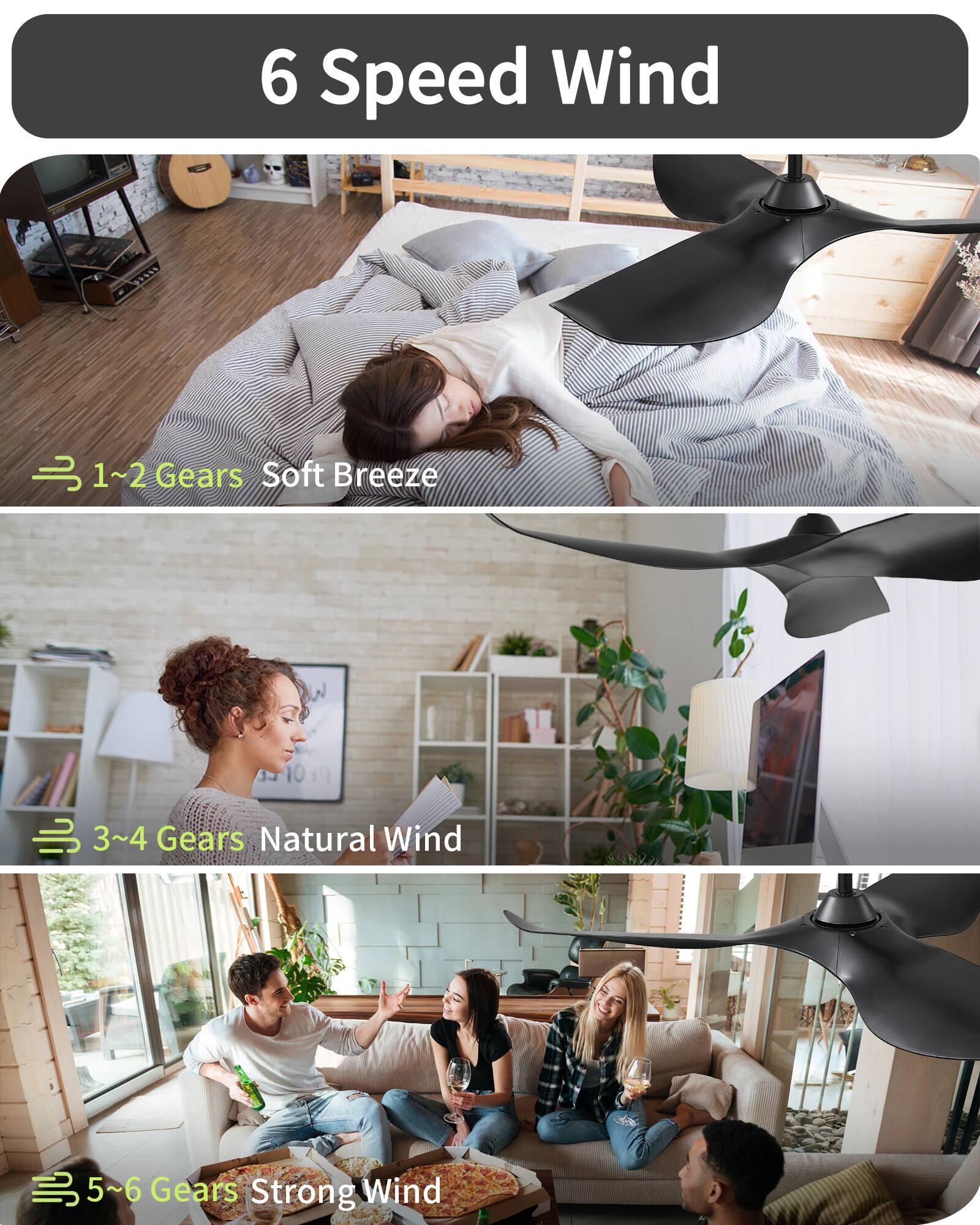 6 Speed Wind

1~2 Gears Soft Breeze

3~4 Gears Natural Wind

5~6 Gears Strong Wind