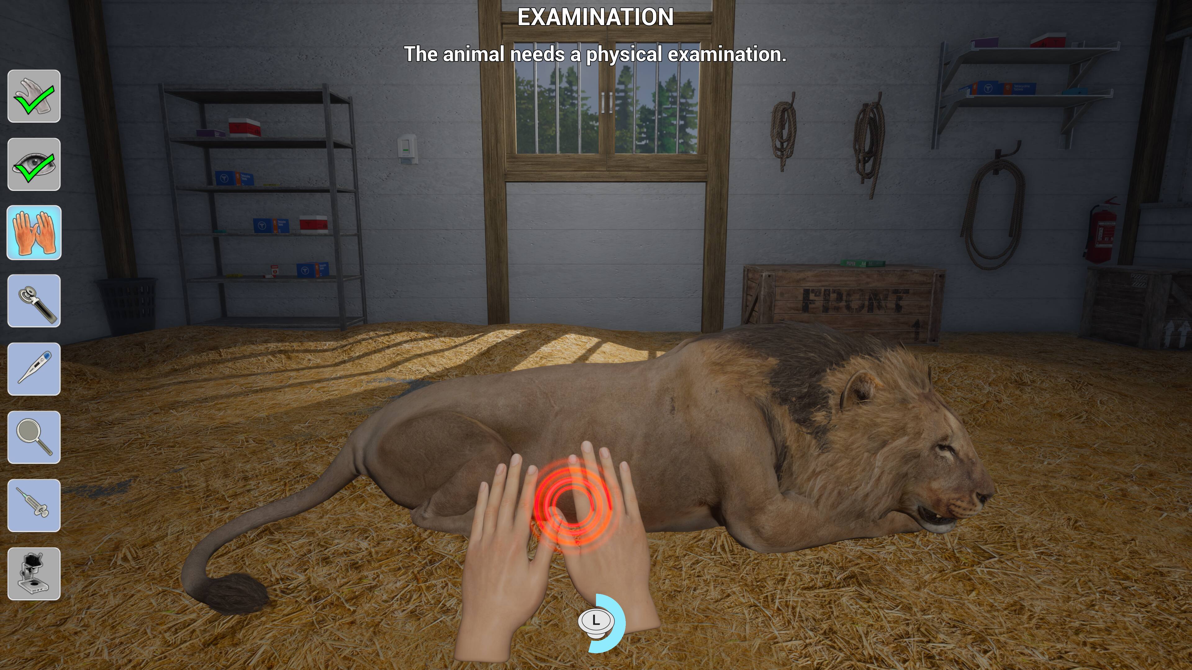 The image shows a person examining a lion, which is lying down on a bed of hay. The person is using a stethoscope to check the lion's health. The text on the image reads "Examination: The animal needs a physical examination."