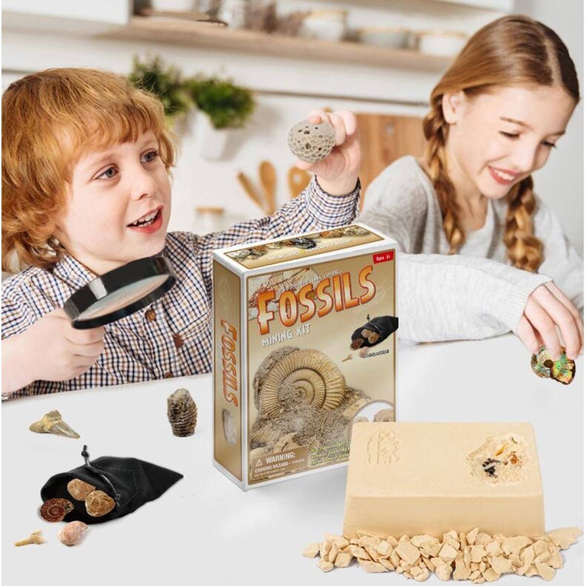 Fossils Mining Kit

WARNING: CHOKING HAZARD - Small parts. Not for children under 3 years.