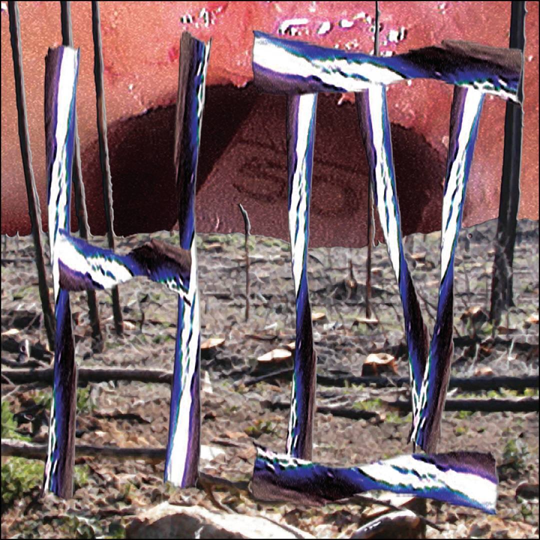 Refuge in Genre [LP] - VINYL