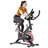 e SPORT Fitness Bike