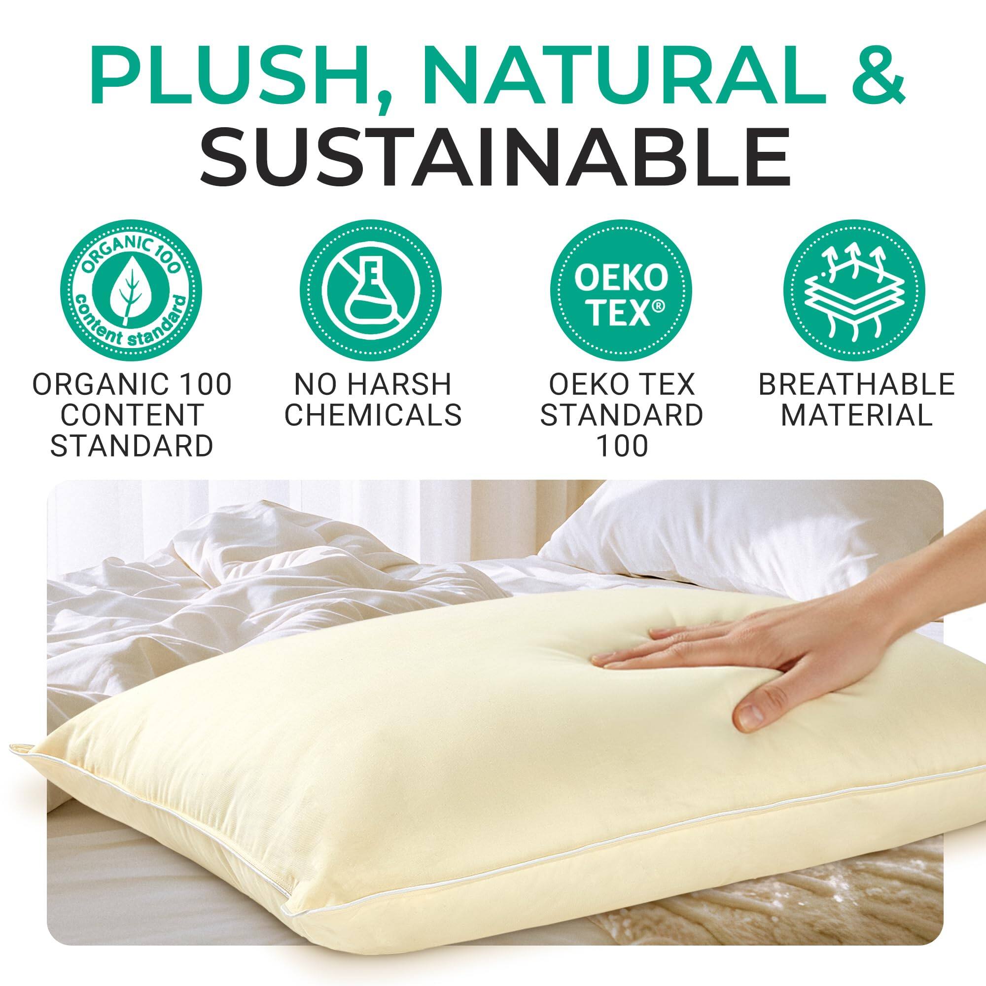 PLUSH, NATURAL & SUSTAINABLE

ORGANIC 100 CONTENT STANDARD  
NO HARSH CHEMICALS  
OEKO TEX STANDARD 100  
BREATHABLE MATERIAL