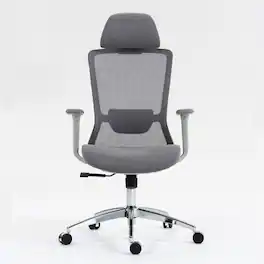 PexFix - High-Bcak Ergonomic Office Chair with Dynamic Lumbar Support, Adjustable Seat Depth for Desk Work - Gray