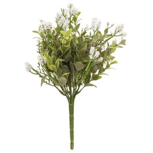 BreeBe - *Luxberry Bush - Green, White