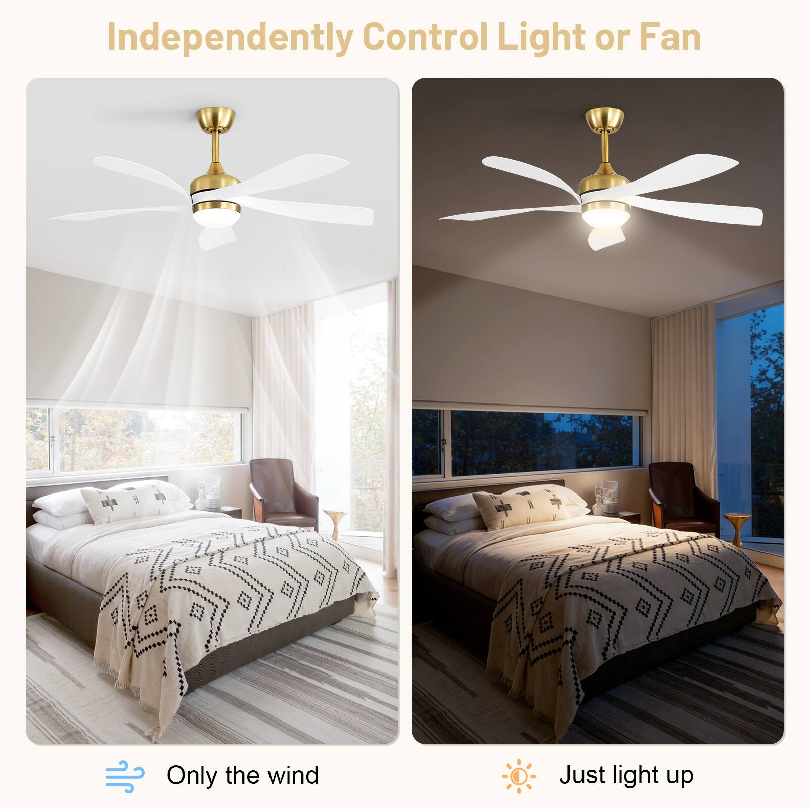 Independently Control Light or Fan

Only the wind

Just light up