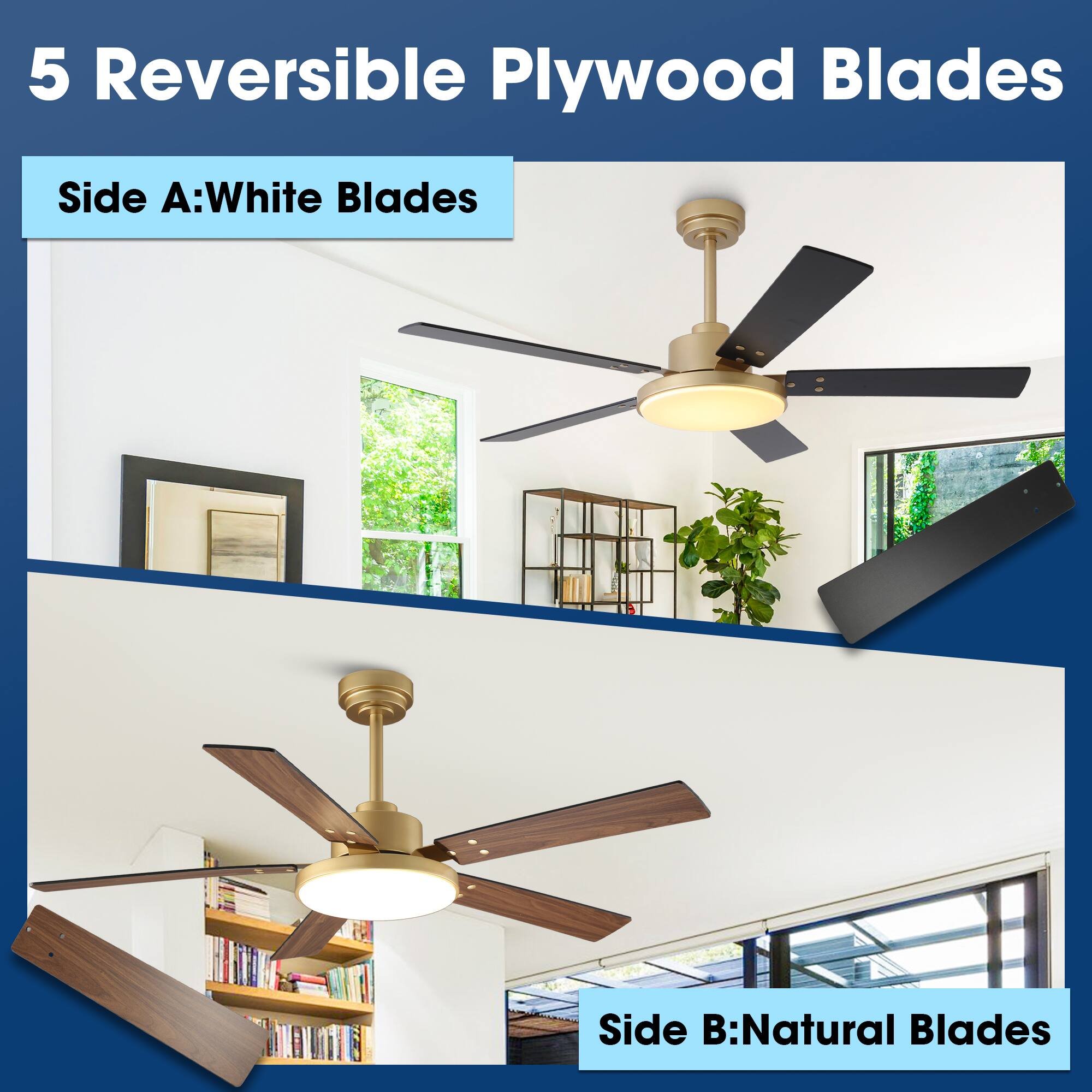 5 Reversible Plywood Blades

Side A: White Blades

Side B: Natural Blades