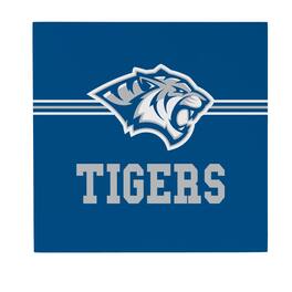 Evergreen Enterprises - Dakota Wesleyan Univeristy Tigers 12" x 12" Wood Wall Sign - Multicolor