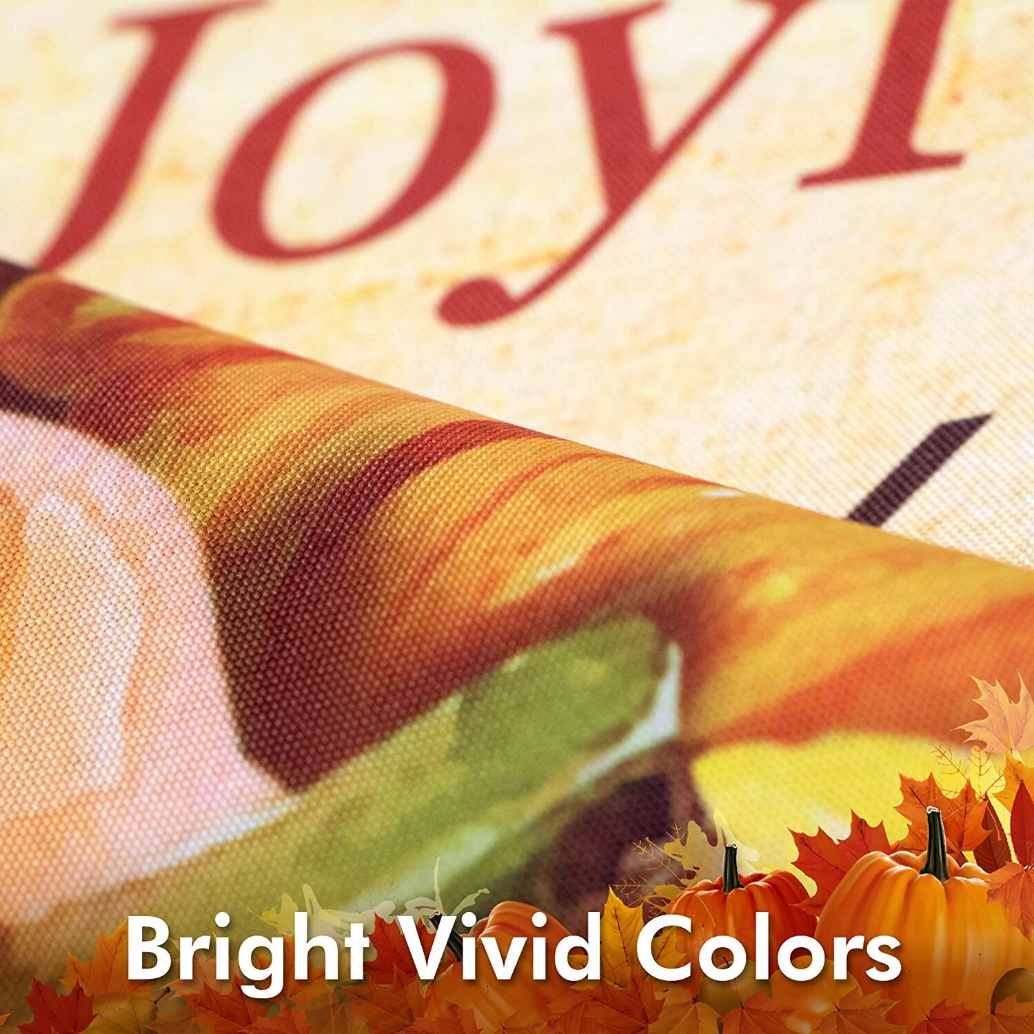 Joy  
Bright Vivid Colors