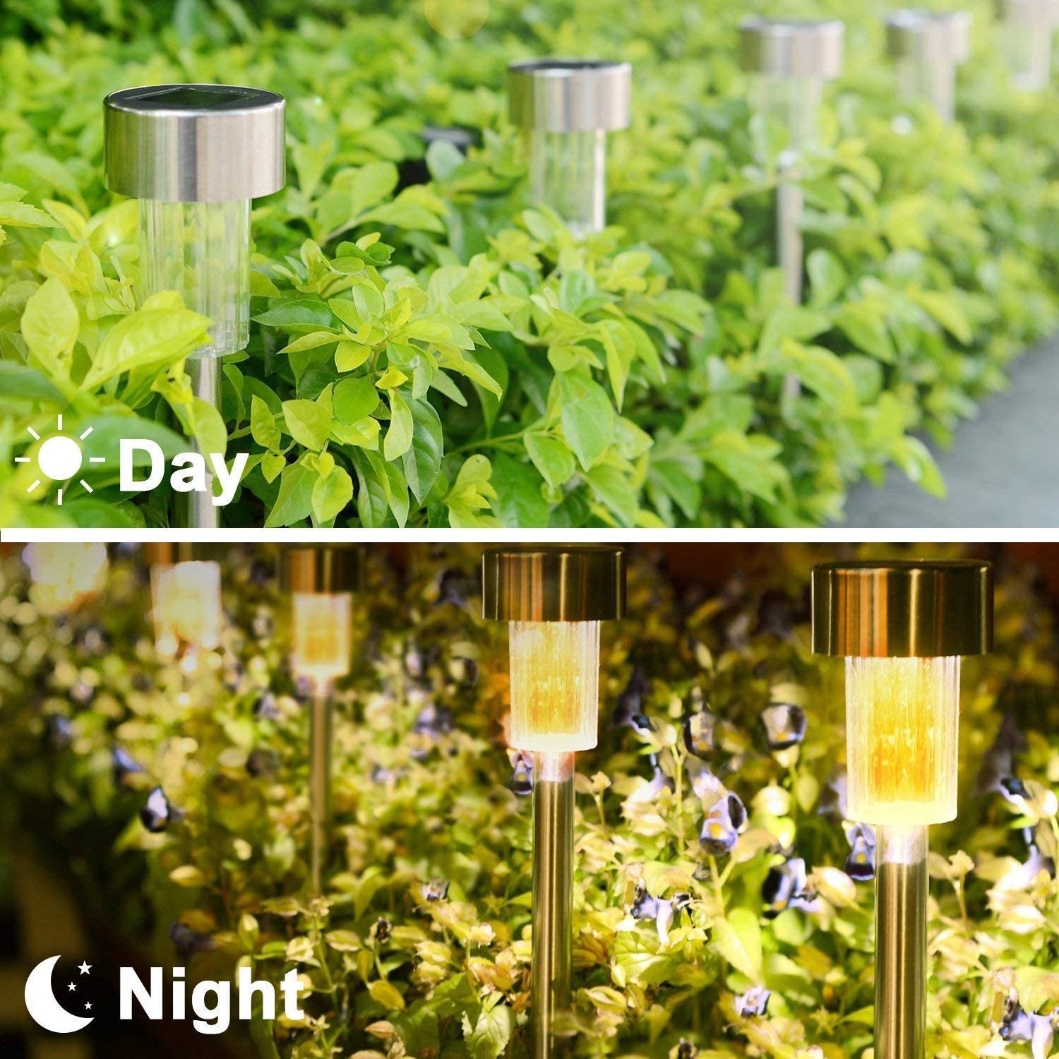 Day  
Night
