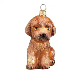 Joy to the World Collectibles - Joy to the World Apricot Maltipoo Sitting Dog Polish Blown Glass Christmas Ornament - Brown