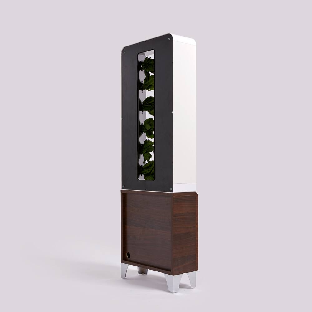 Back. Just Vertical - EVE Tower Garden | Hydroponic Growing System | Grow Fresh Herbs & Vegetables Year-Round | Fully Assembled - Walnut.