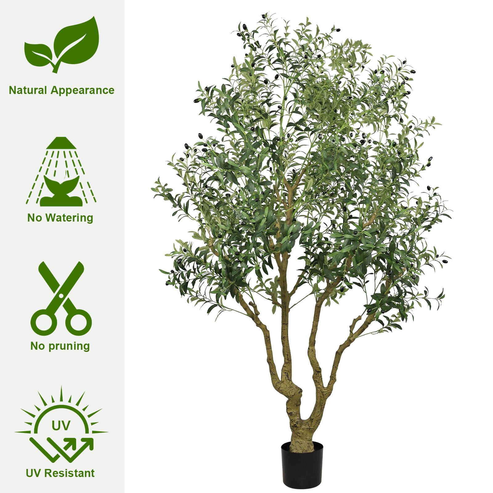 - Natural Appearance
- No Watering
- No pruning
- UV Resistant