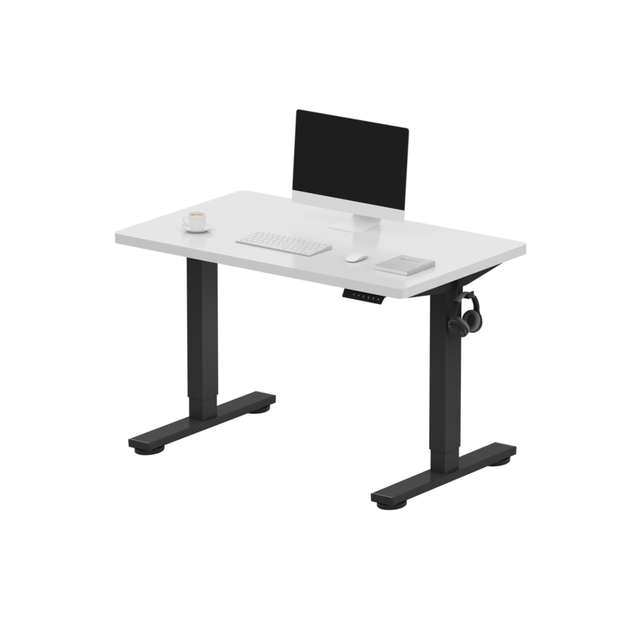 FlexiSpot E2 40''W Electric Adjustable Standing Desk Chipboard, /Black ...