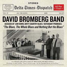 David Bromberg - Blues The Whole Blues And Nothing But - VINYL LP