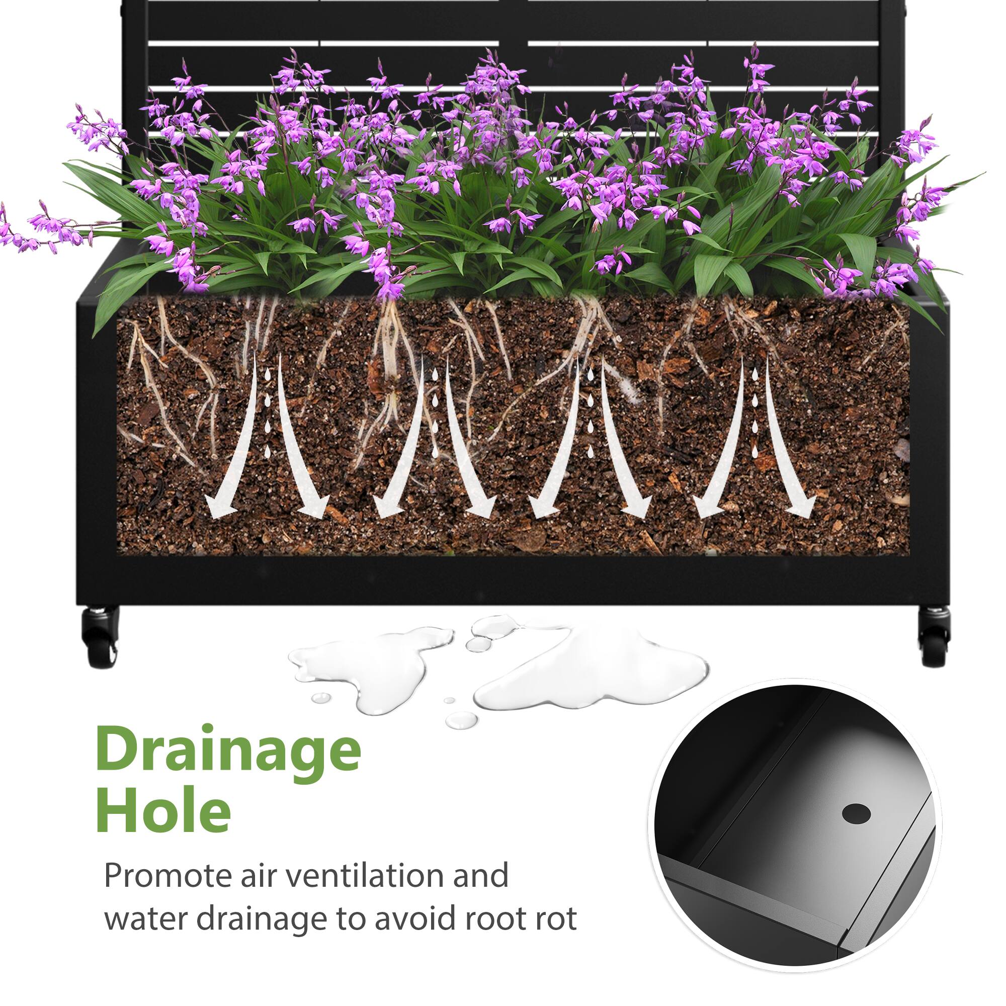 Drainage Hole

Promote air ventilation and water drainage to avoid root rot