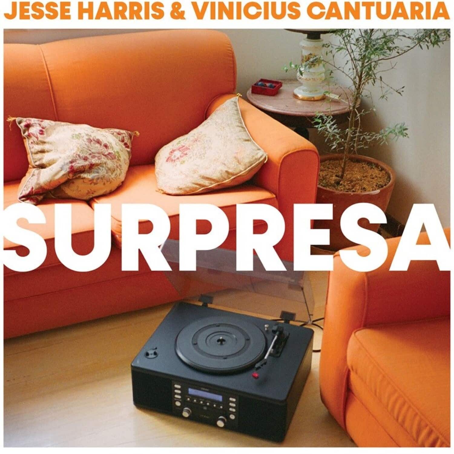 Jesse Harris - Surpresa  - COMPACT DISCS