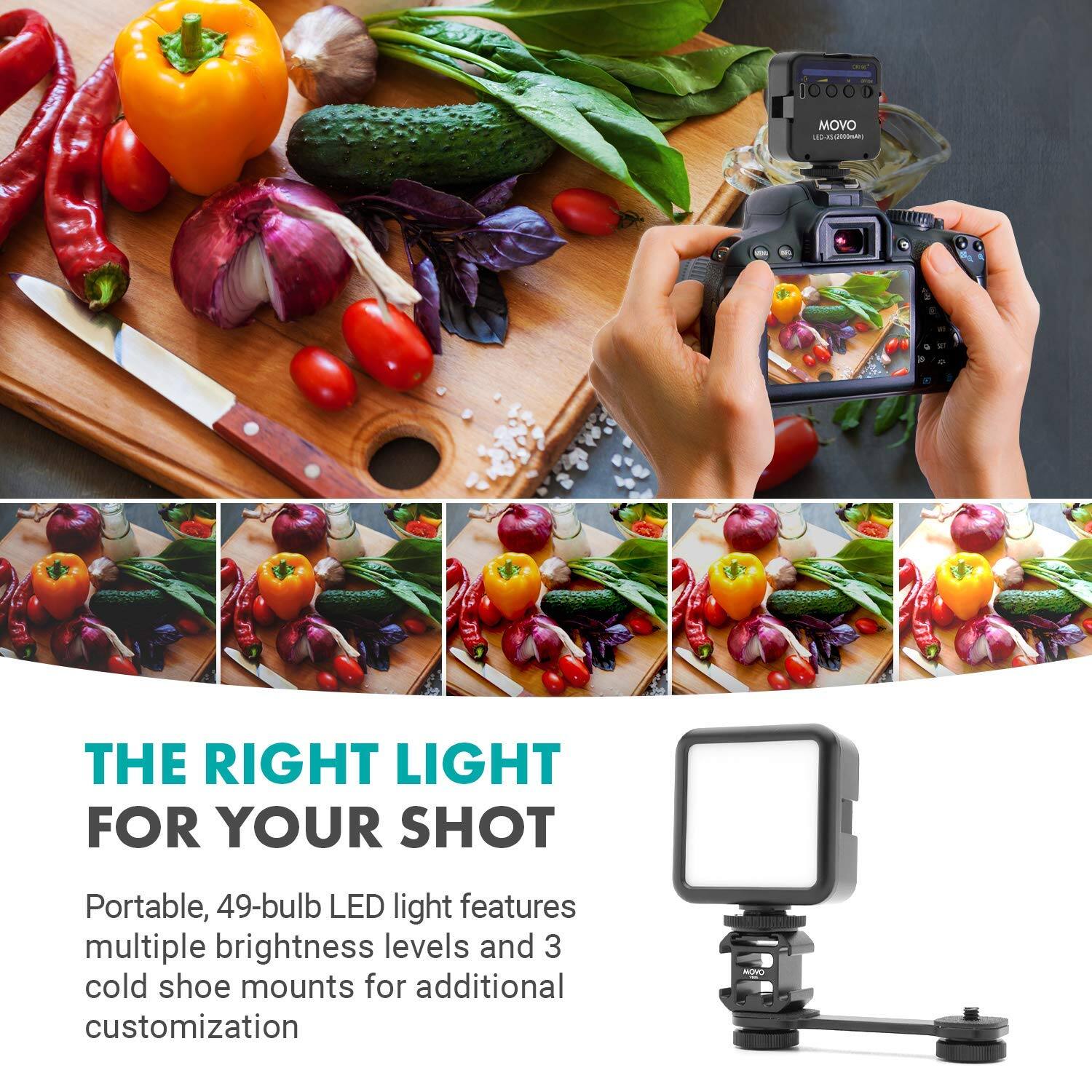 **THE RIGHT LIGHT FOR YOUR SHOT**

Portable, 49-bulb LED light features multiple brightness levels and 3 cold shoe mounts for additional customization