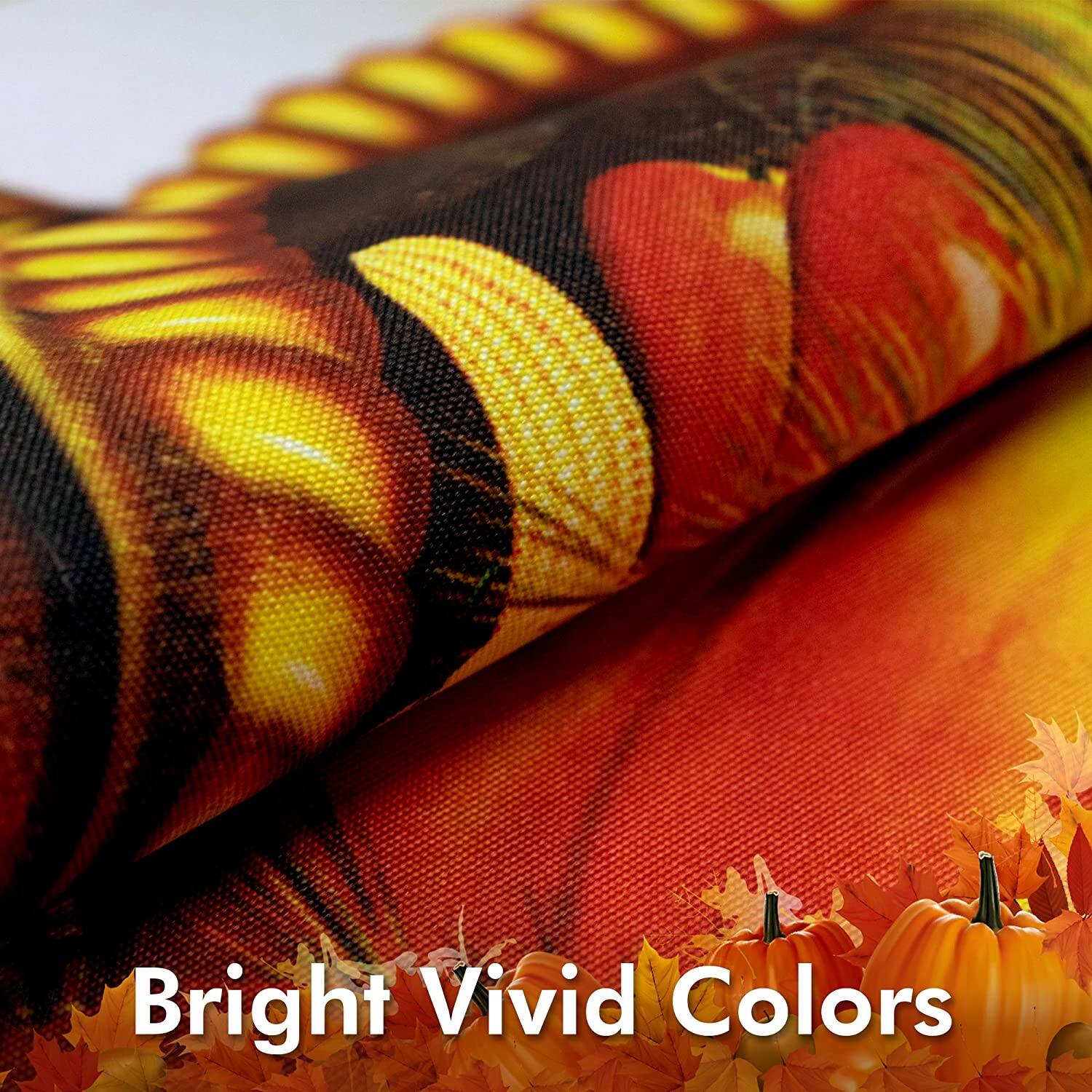 Bright Vivid Colors