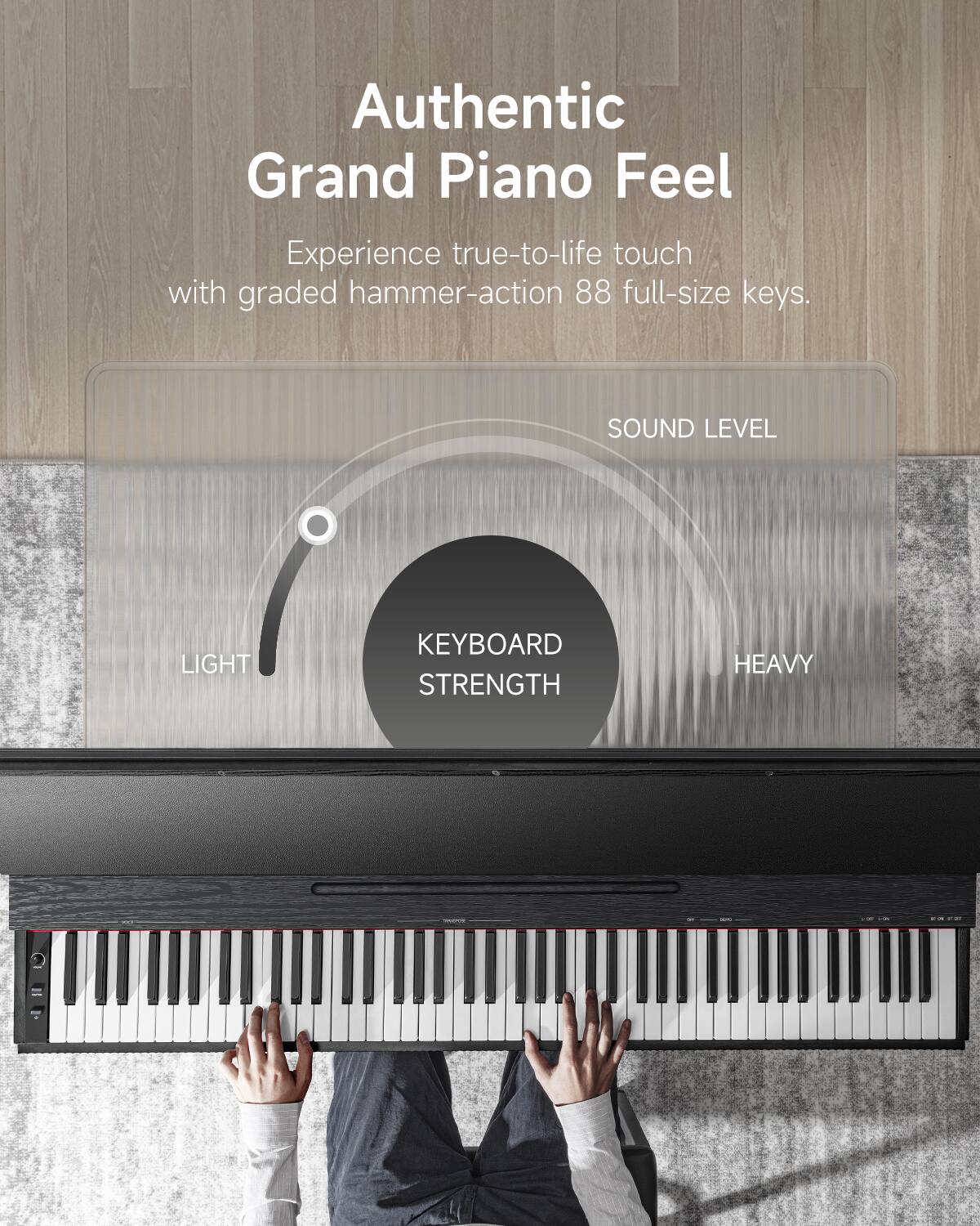 Authentic Grand Piano Feel

Experience true-to-life touch with graded hammer-action 88 full-size keys.

SOUND LEVEL

KEYBOARD STRENGTH

LIGHT HEAVY