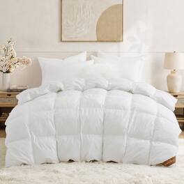 Puredown - 800 Fill Power European 90% Goose Down Comforter Duvet Insert Made in Germany, Twin - White