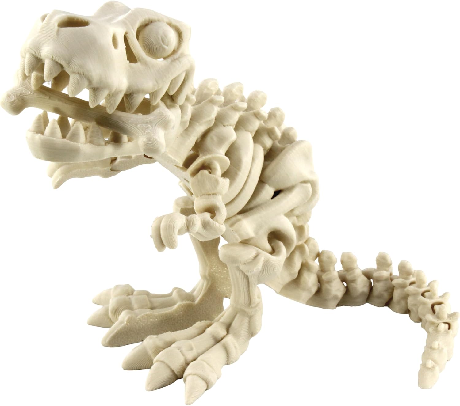 3D Printed Skeleton Tyrannosaurus Rex, Prehistoric Collectible Articulating Dinosaur Figurine For Desk White by PowerTRC