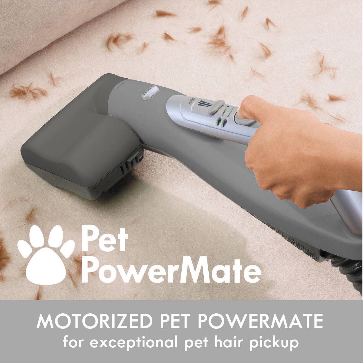 2019/2017  
CARRET HASPICY  
Pet PowerMate  
MOTORIZED PET POWERMATE for exceptional pet hair pickup