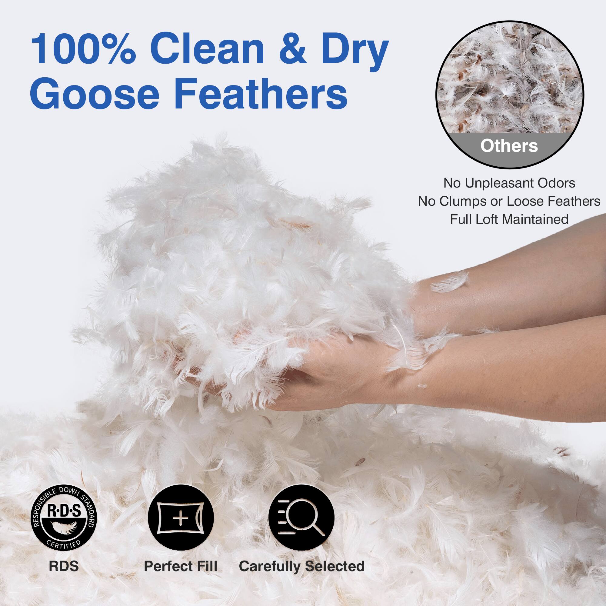 100% Clean & Dry Goose Feathers

- No Unpleasant Odors
- No Clumps or Loose Feathers
- Full Loft Maintained

DOWN RESPONSIBLE RDS STANDARD CERTIFIED RDS

+ Perfect Fill
Carefully Selected