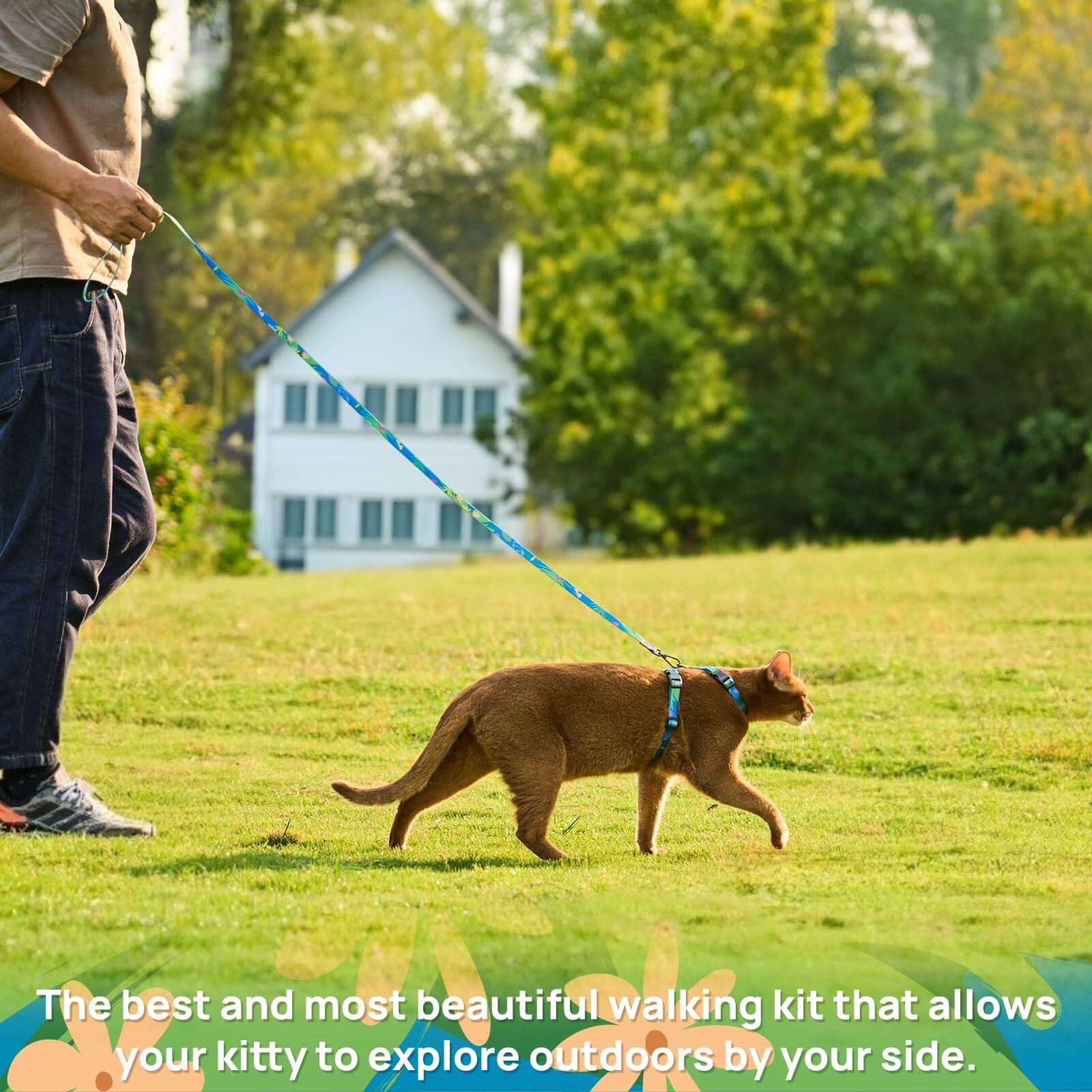 Image showcasing Paradigms Interiors Cat Harness And Leash Set Escape Proof Comfortable ...