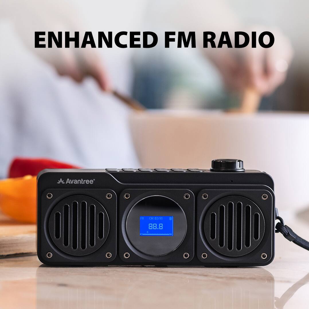 ENHANCED FM RADIO

Avantree

CH 02/31

88.8