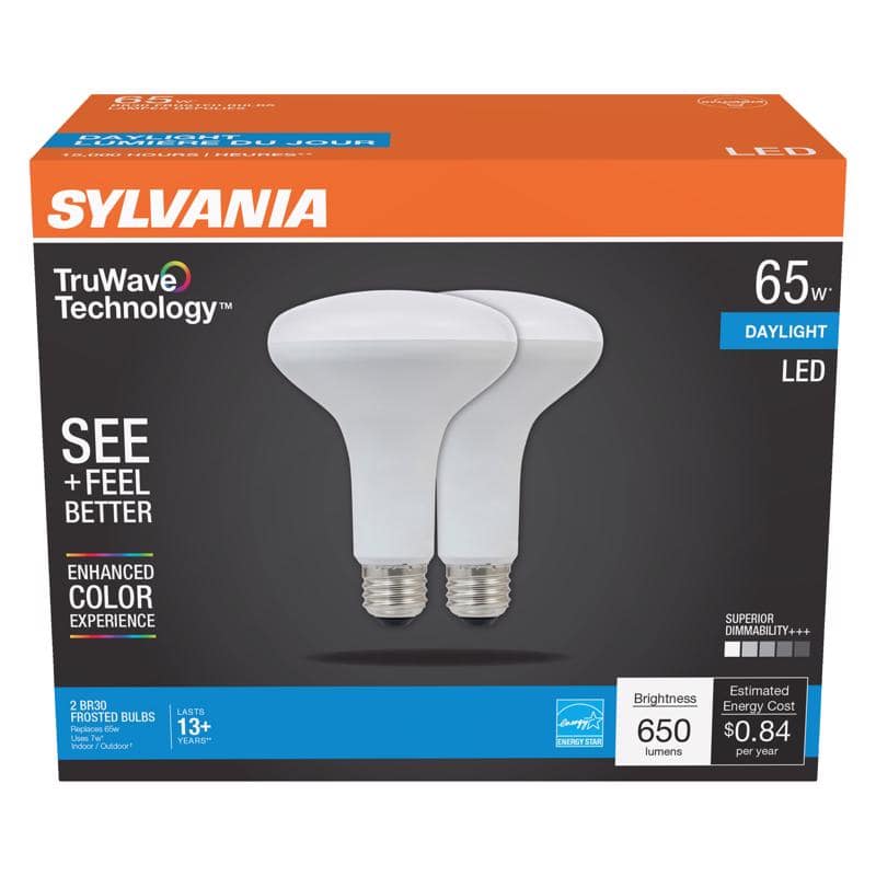 SYLVANIA  
TruWave Technology™  
SEE + FEEL BETTER  
ENHANCED COLOR EXPERIENCE  
2 BR30 FROSTED BULBS  
Replaces 65W  
Indoor / Outdoor!  
LASTS 13+ YEARS*  

65w  
DAYLIGHT  
LED  

SUPERIOR DIMMABILITY+++  

Brightness  
650 lumens  

Estimated Energy Cost  
$0.84 per year  

ENERGY STAR