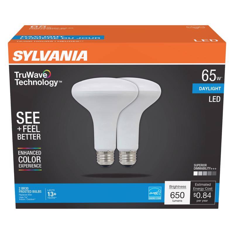 SYLVANIA  
TruWave Technology™  
SEE + FEEL BETTER  
ENHANCED COLOR EXPERIENCE  
2 BR30 FROSTED BULBS  
Replaces 65W  
Indoor / Outdoor!  
LASTS 13+ YEARS*  

65w  
DAYLIGHT  
LED  

SUPERIOR DIMMABILITY+++  

Brightness  
650 lumens  

Estimated Energy Cost  
$0.84 per year  

ENERGY STAR