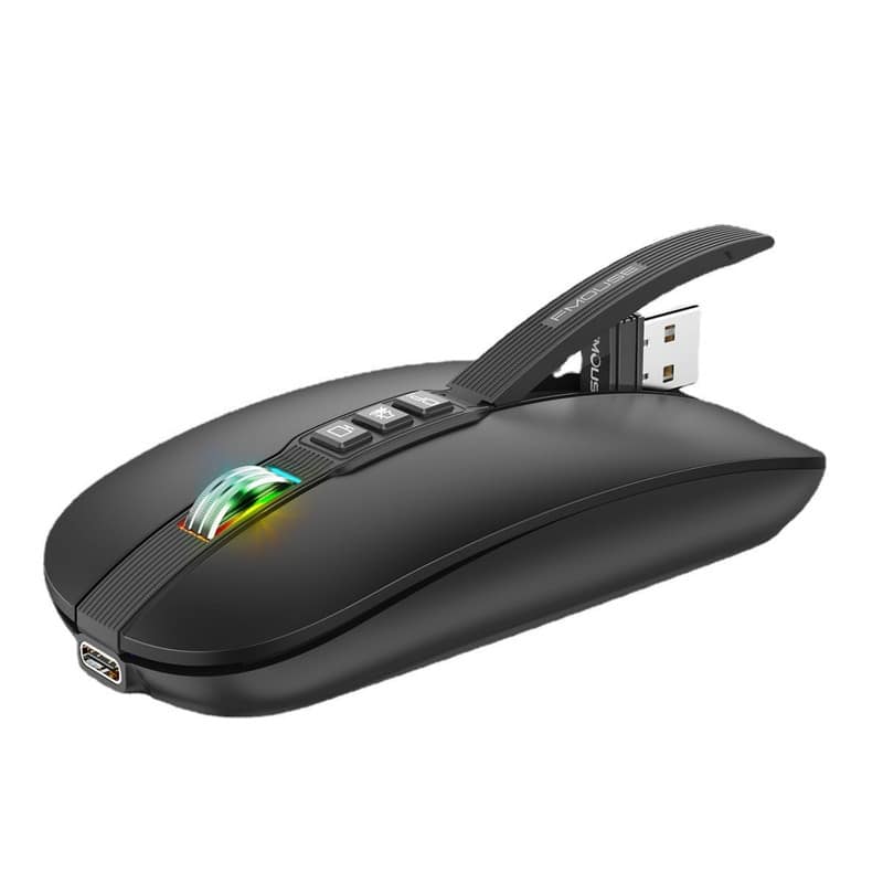 SKRAN - Dual-Mode (2.4G/BT5.1) Silent Mouse - Easy-to-Use with Type-C Charging, 4 DPI for Office/Home, Professionals & Students - Wireless - Black