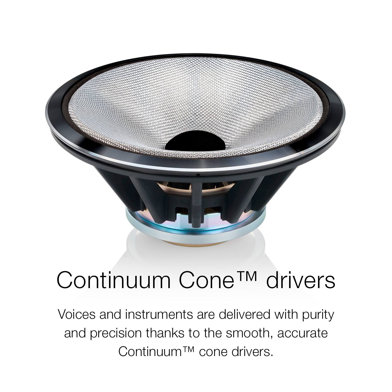 Continuum Cone™ drivers  
Voices and instruments are delivered with purity and precision thanks to the smooth, accurate Continuum™ cone drivers.