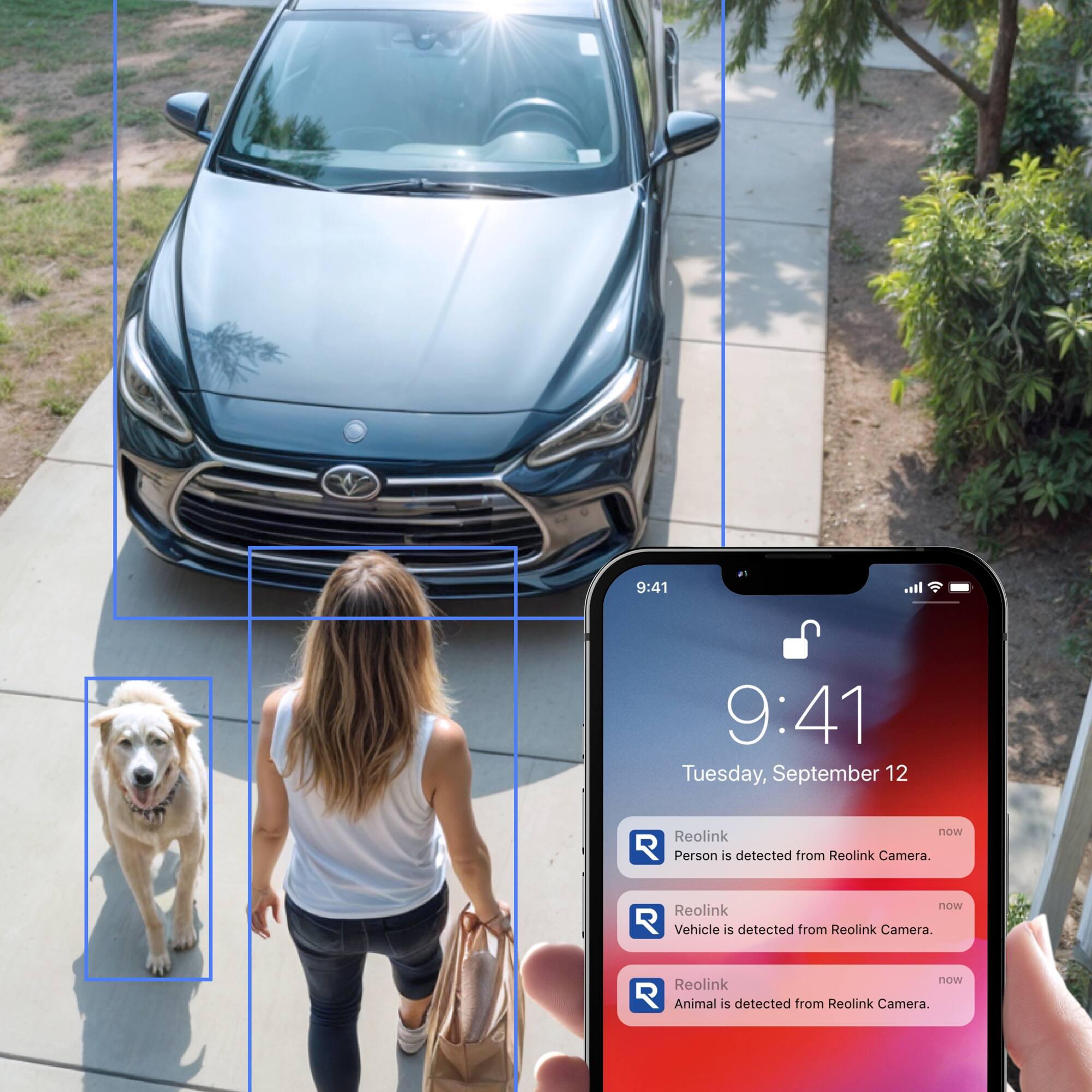 The text on the image reads: "9:41 Tuesday, September 12 Reolink now R Person is detected from Reolink Camera. now Reolink R Vehicle is detected from Reolink Camera. Reolink now Animal s detected from Reolink Camera."