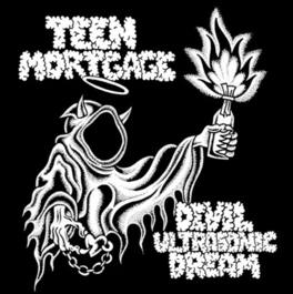 Teen Mortgage - Devil Ultrasonic Dream - VINYL LP