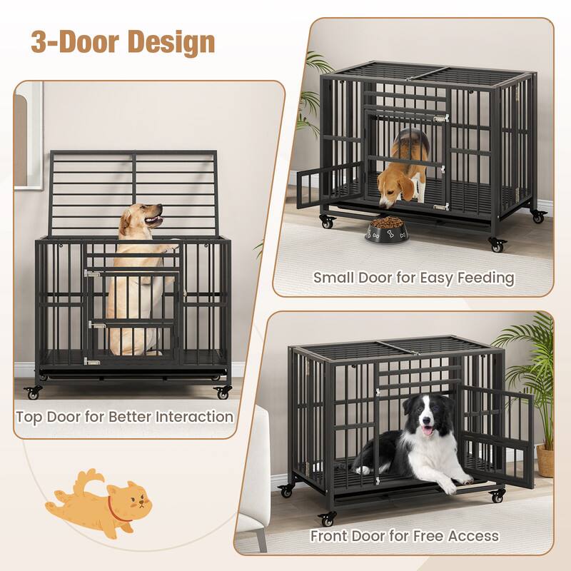 3-Door Design

Small Door for Easy Feeding

Top Door for Better Interaction

Front Door for Free Access