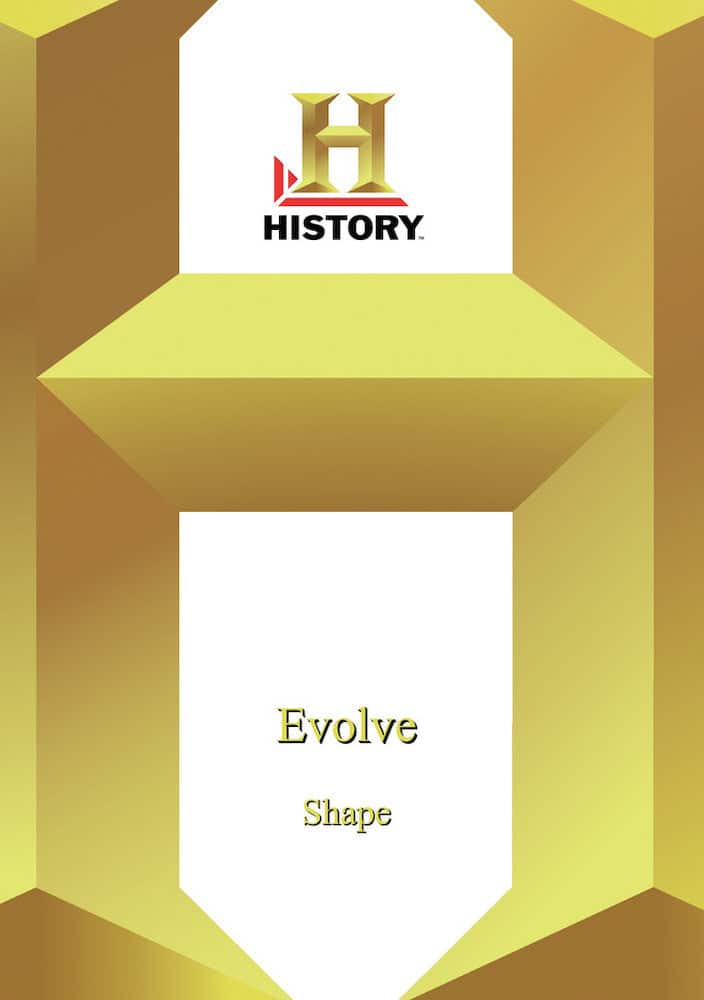 History - Evolve Shape (MOD) (DVD Movie) price history on PriceWatchPro
