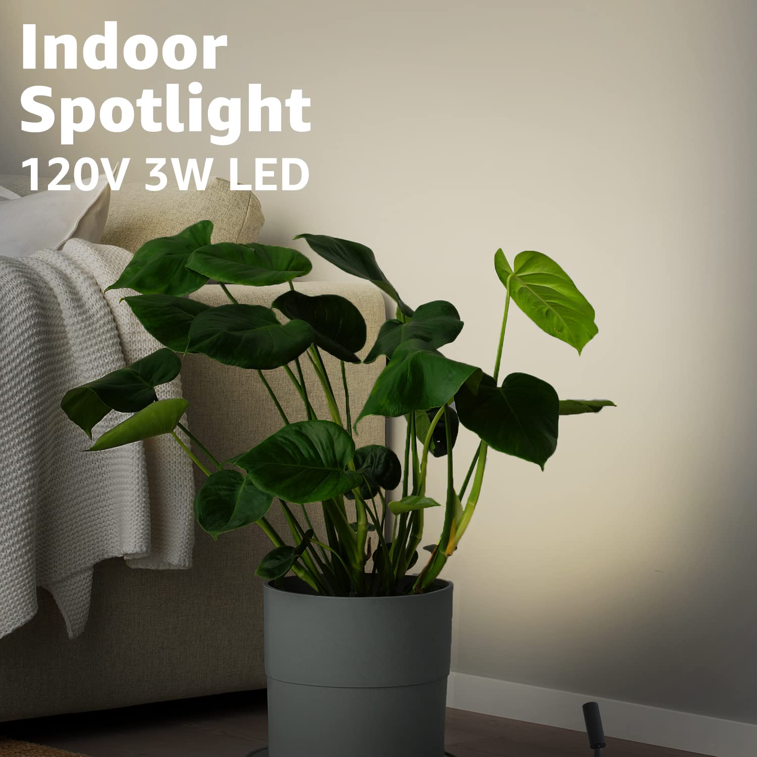Indoor Spotlight  
120V 3W LED