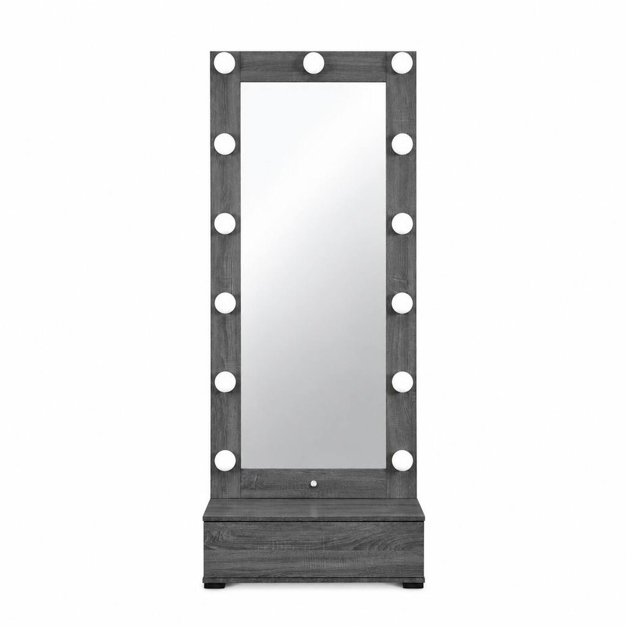 RYHNUYNE Tall Grey Floor Mirror, LED Lighting, Storage Drawer, Built In ...