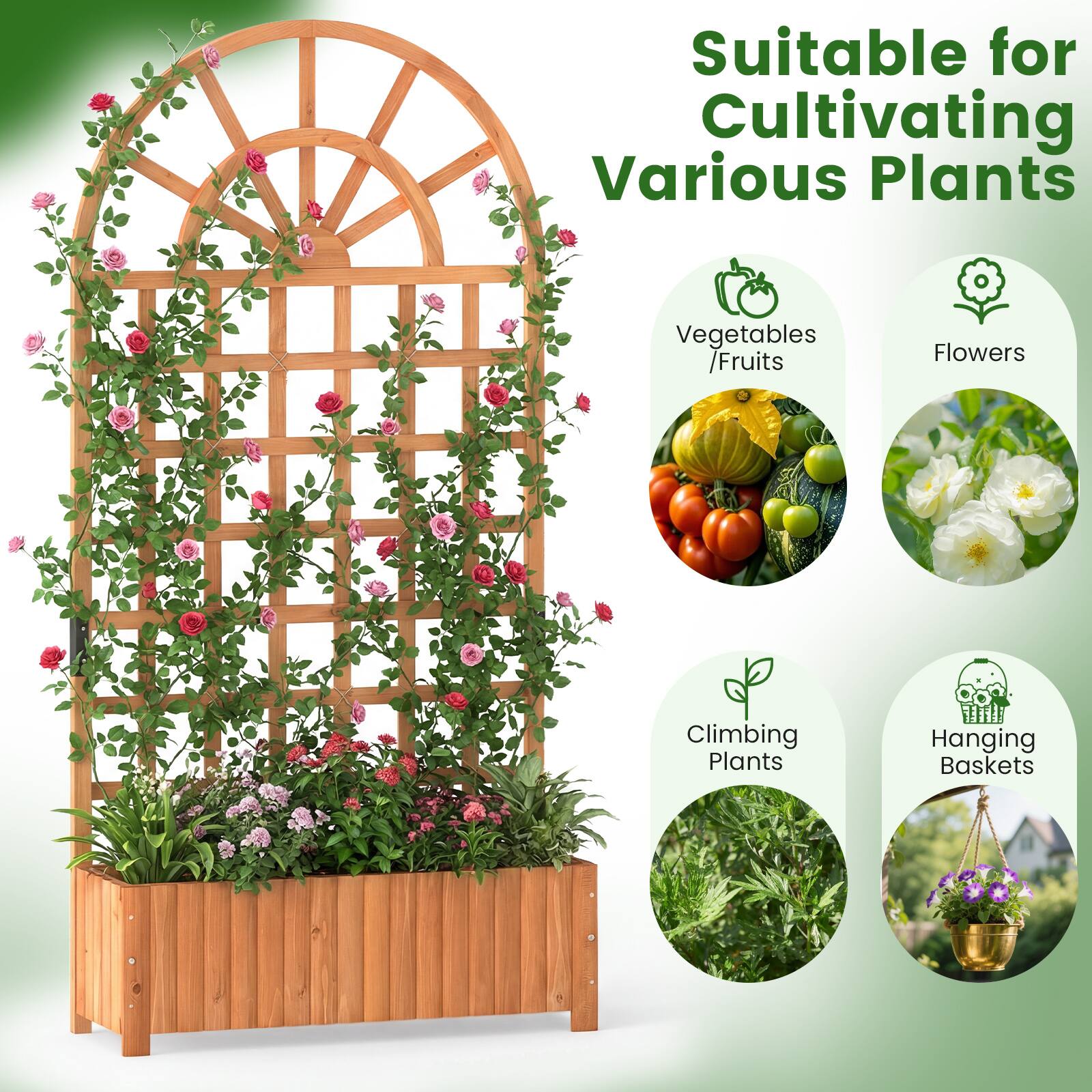 Suitable for Cultivating Various Plants  
Vegetables / Fruits  
Flowers  
Climbing Plants  
Hanging Baskets