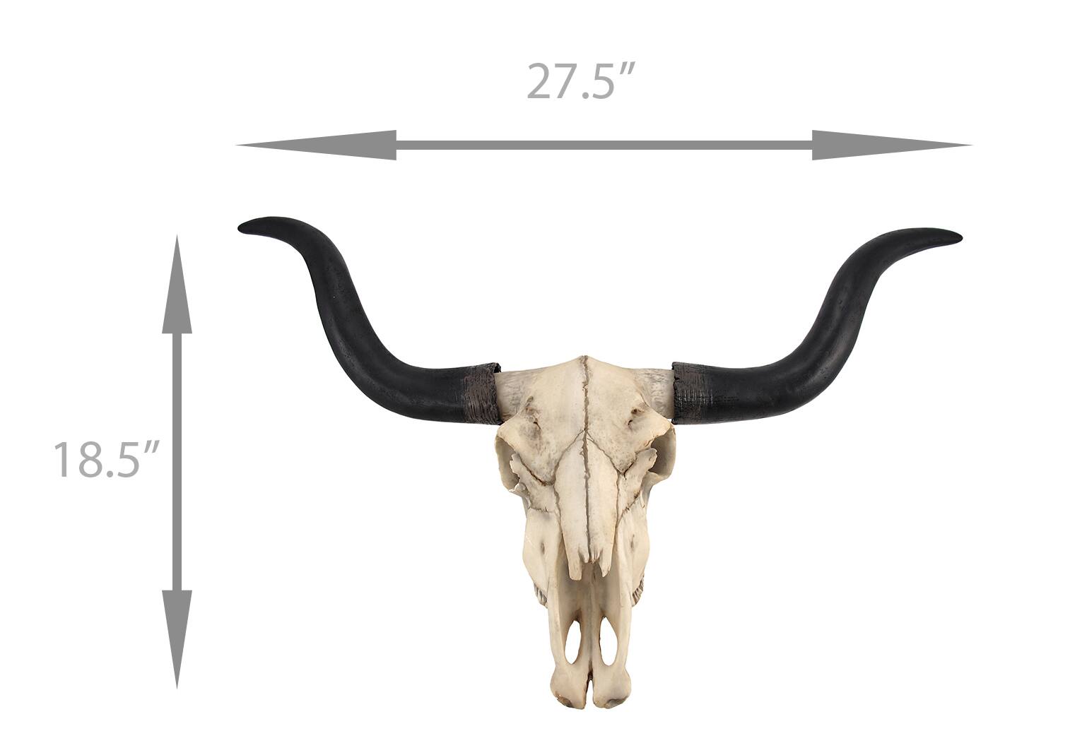 27.5"  
18.5"