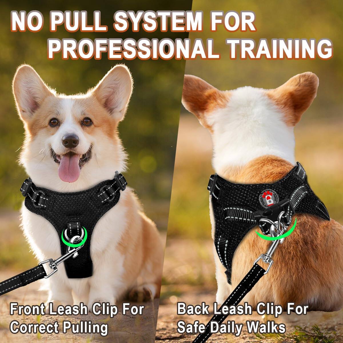 NO PULL SYSTEM FOR PROFESSIONAL TRAINING

Front Leash Clip For Correct Pulling

Back Leash Clip For Safe Daily Walks